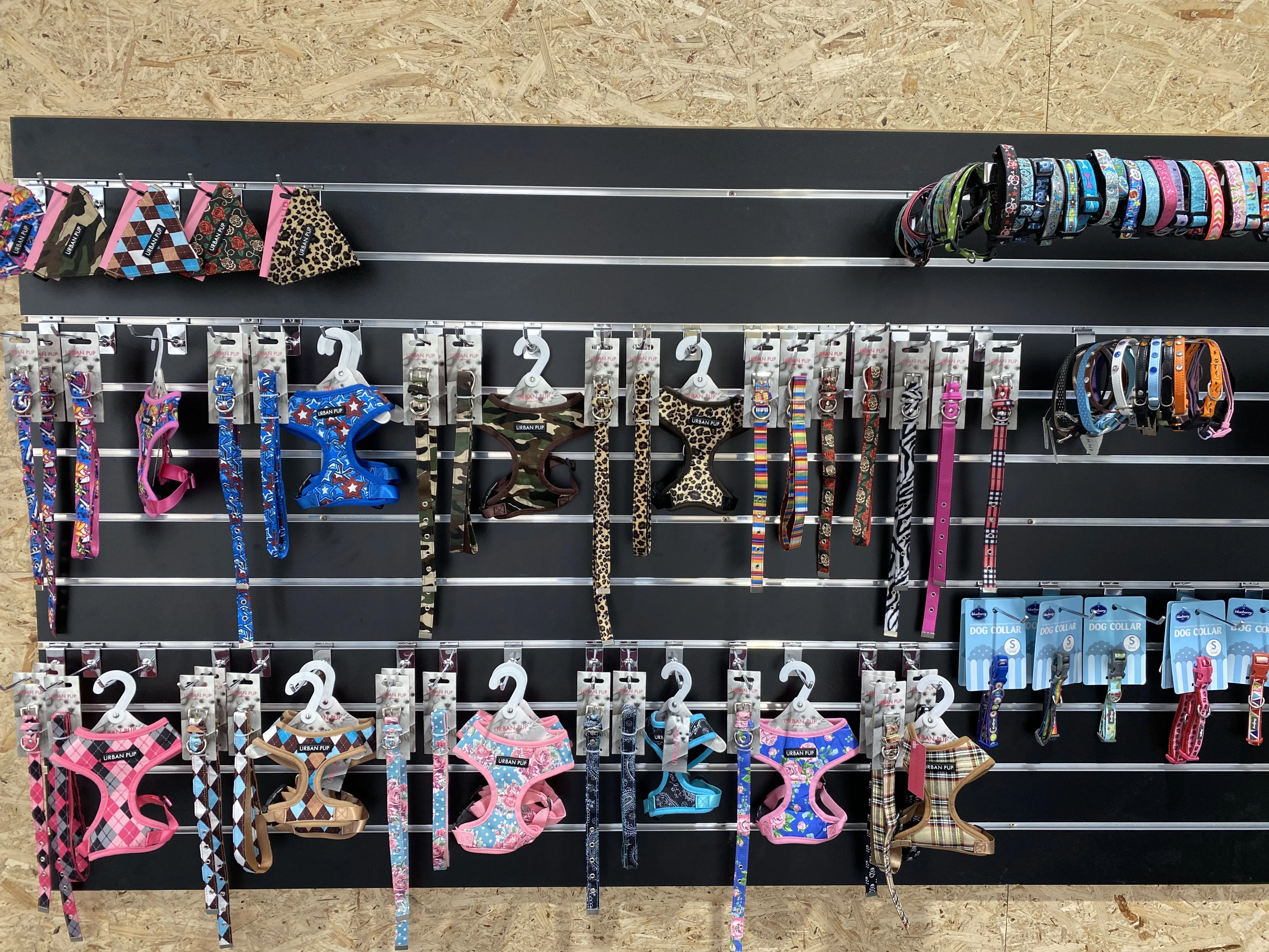 Black slat-wall merchandised with Urban Pup harnesses, collars and leashes alongside Blueberry dog collars