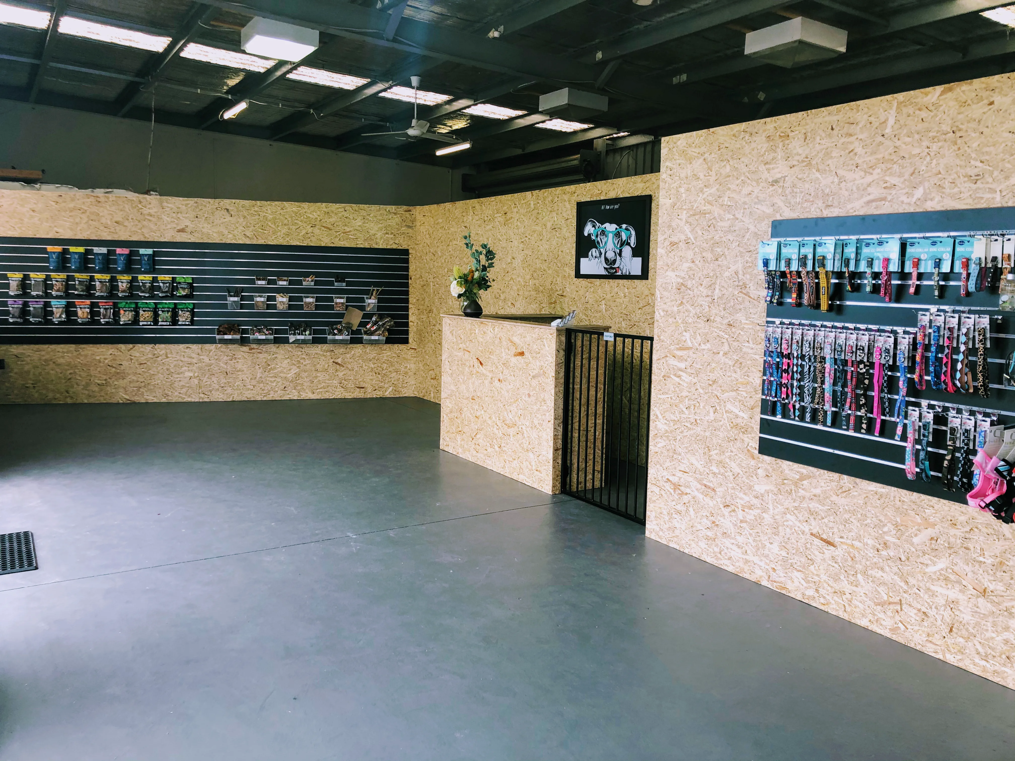 Puppies Inc boutique interior — plywood walls, black slat-wall of pet products and treats, reception desk, polished concrete floor, steel-truss warehouse roof